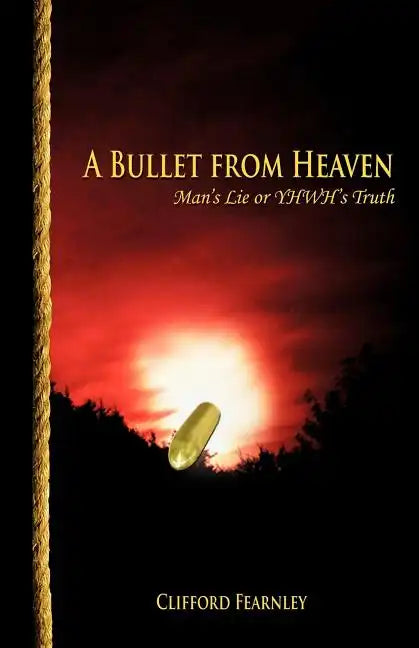 A Bullet from Heaven - Paperback