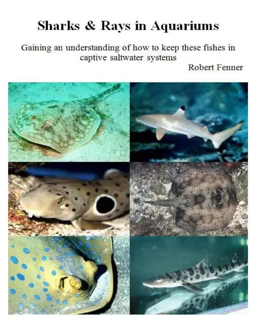 Sharks & Rays in Aquariums: Gaining an understanding of how to keep these fishes in captive saltwater systems - Paperback