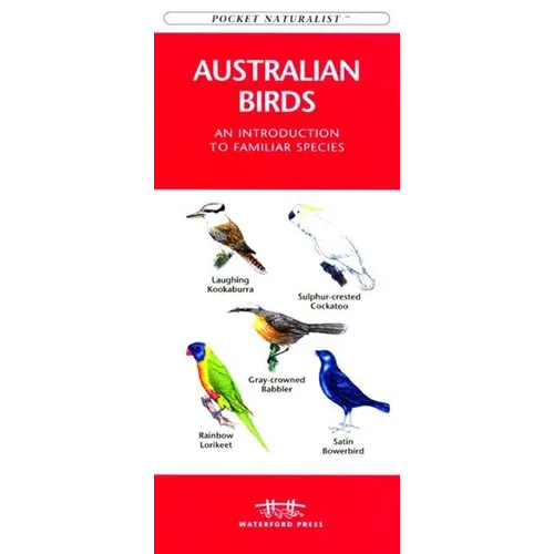 African Animal Tracks: A Folding Pocket Guide to the Tracks & Signs of Familiar Animals - Hardcover