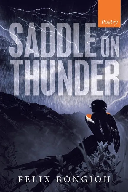 Saddle on Thunder - Paperback