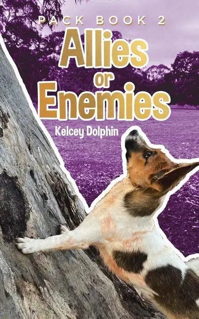 Allies or Enemies - Paperback
