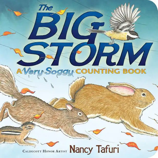 The Big Storm: A Very Soggy Counting Book - Board Book