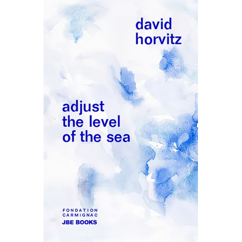 David Horvitz: Adjust the Level of the Sea - Paperback