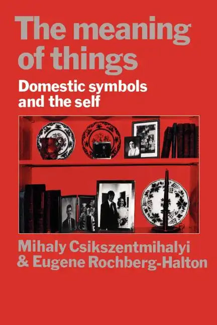 The Meaning of Things: Domestic Symbols and the Self - Paperback