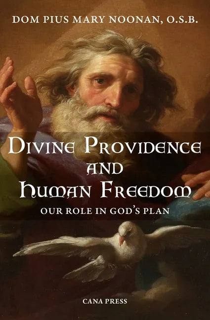 Divine Providence And Human Freedom: Our Role In God's Plan - Paperback