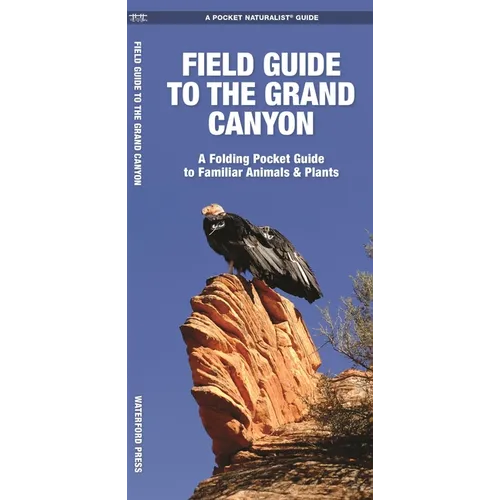 Field Guide to the Grand Canyon: A Folding Pocket Guide to Familiar Plants & Animals - Paperback