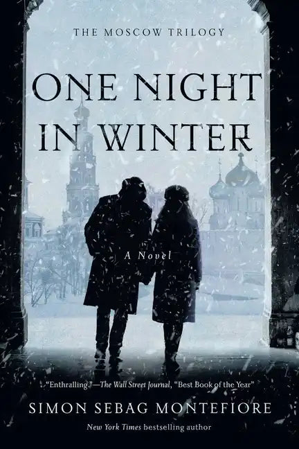One Night in Winter - Paperback