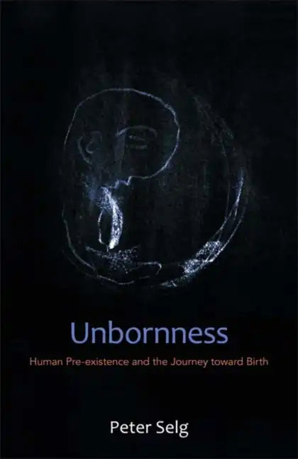 Unbornness: Human Pre-Existence and the Journey Toward Birth - Paperback