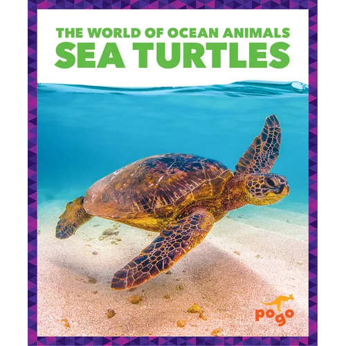 Sea Turtles - Paperback