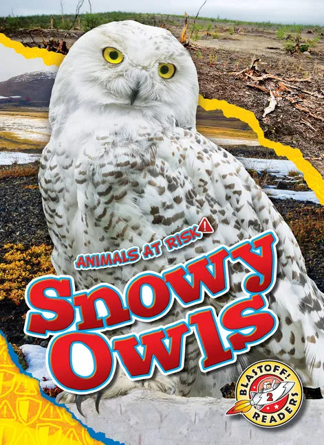 Snowy Owls - Library Binding