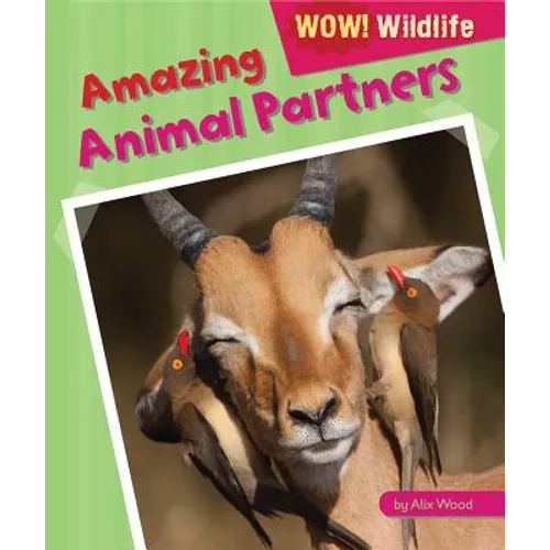 Amazing Animal Partners - Library Binding