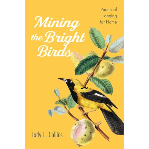 Mining the Bright Birds: Poems of Longing for Home - Paperback