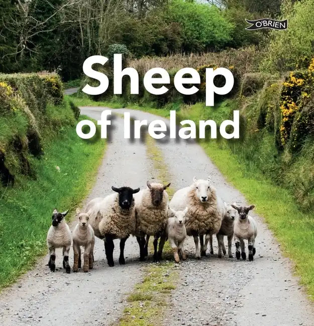 Sheep of Ireland - Hardcover