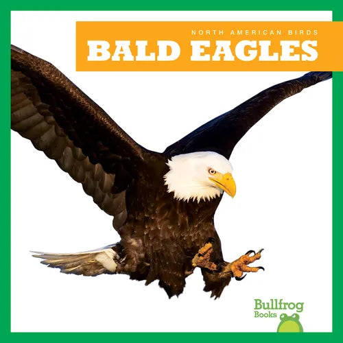 Bald Eagles - Paperback