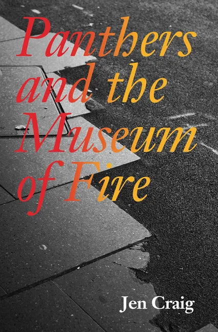 Panthers and the Museum of Fire - Paperback