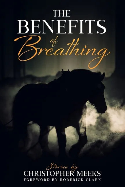 The Benefits of Breathing: and Other Stories - Paperback