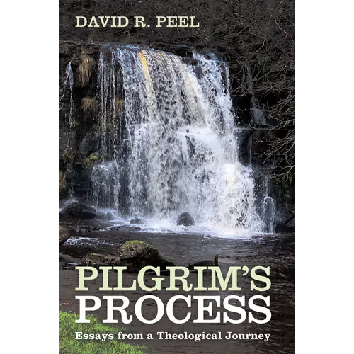 Pilgrim's Process: Essays from a Theological Journey - Paperback
