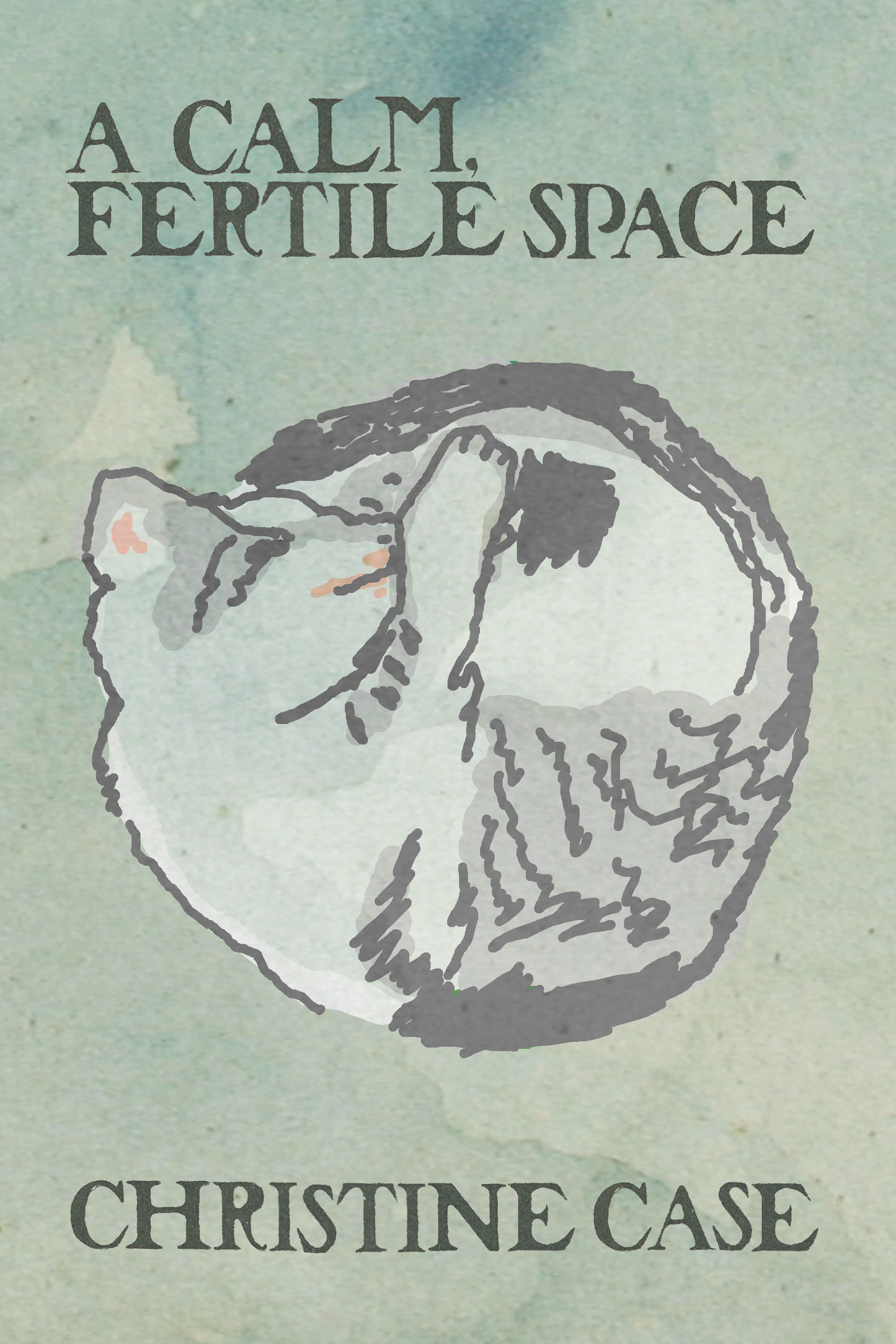 A Calm, Fertile Space, by Christine Case