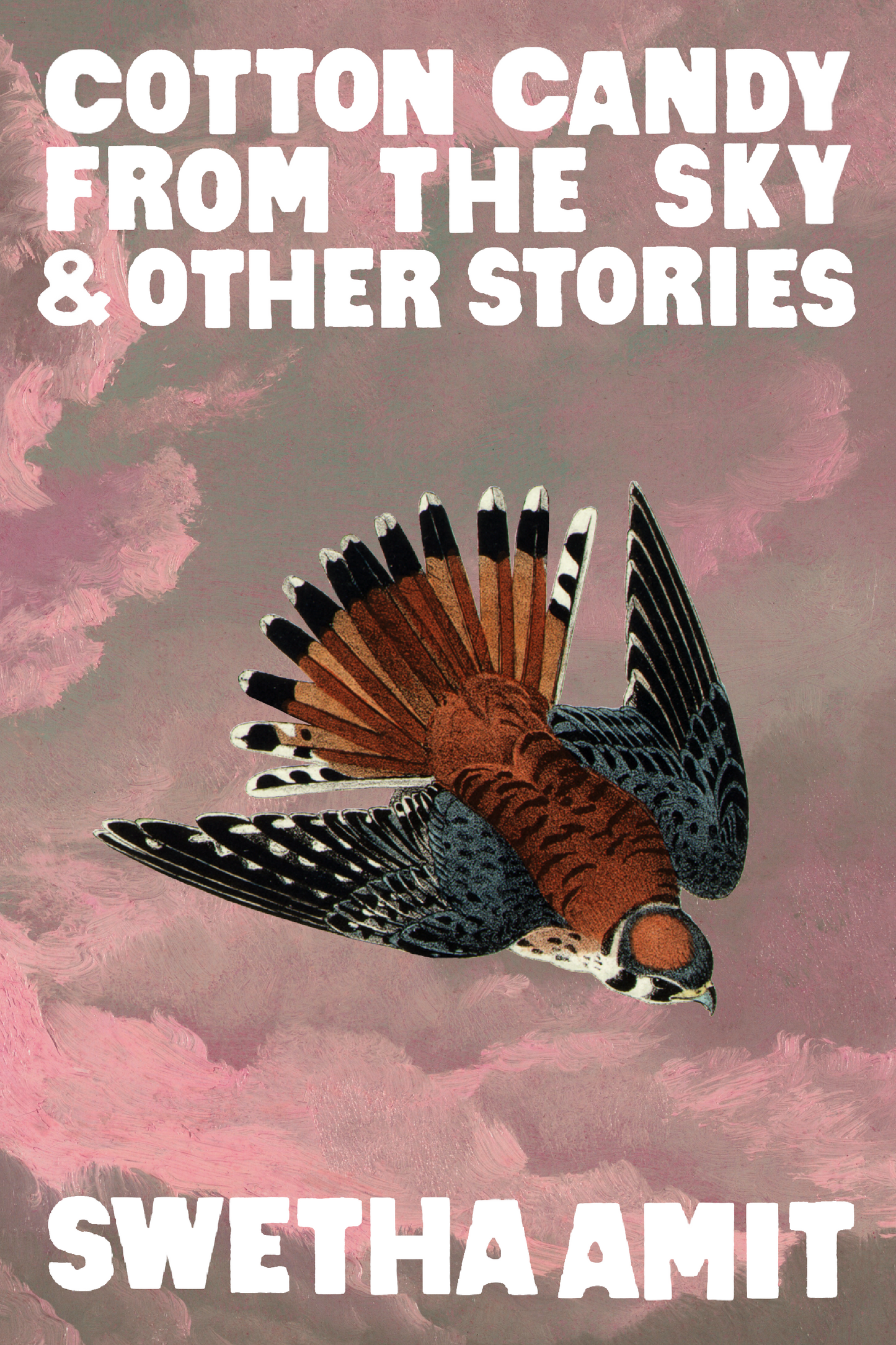Cotton Candy from the Sky & Other Stories, by Swetha Amit