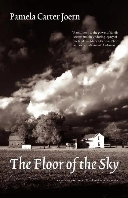 The Floor of the Sky - Paperback