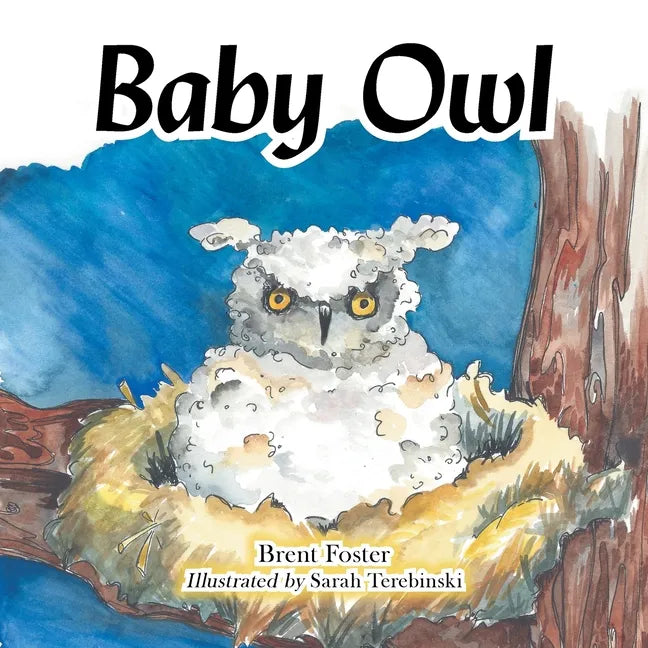 Baby Owl - Paperback