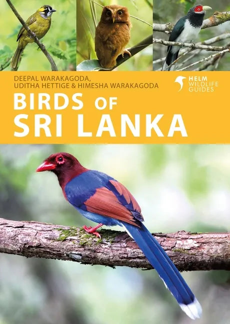 Birds of Sri Lanka - Paperback