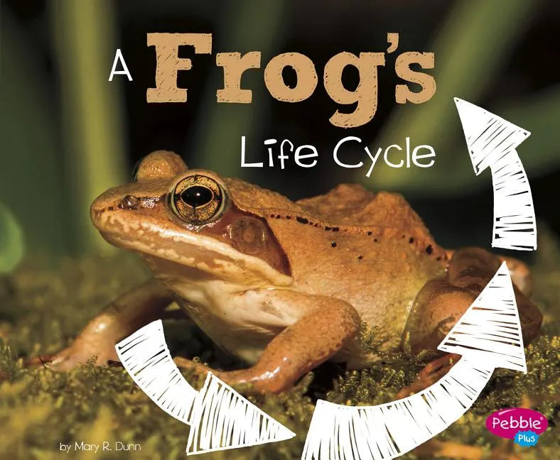 A Frog's Life Cycle - Paperback