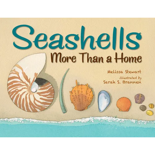 Seashells: More Than a Home - Paperback
