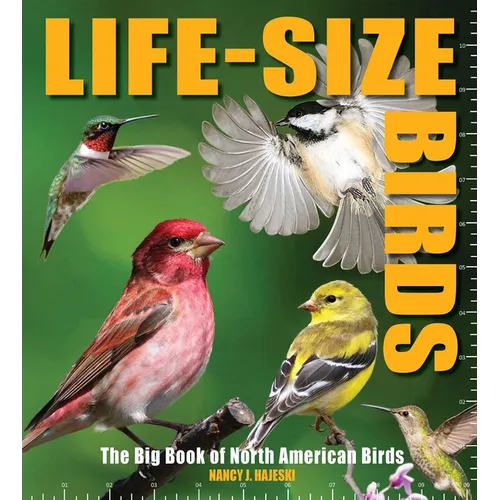 Life-Size Birds: The Big Book of North American Birds - Hardcover