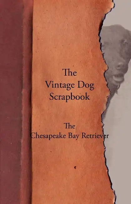 The Vintage Dog Scrapbook - The Chesapeake Bay Retriever - Paperback