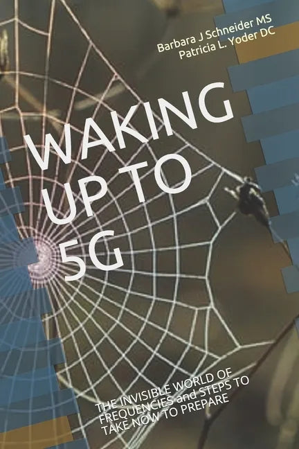 Waking Up to 5g: THE INVISIBLE WORLD OF FREQUENCIES and STEPS TO TAKE NOW TO PREPARE - Paperback