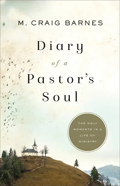 Diary of a Pastor's Soul - Paperback