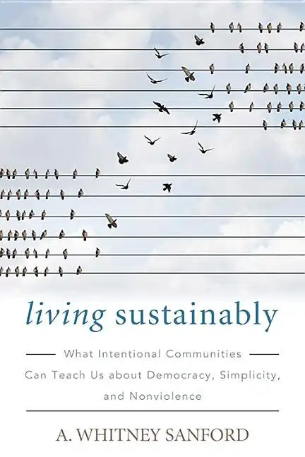 Living Sustainably: What Intentional Communities Can Teach Us about Democracy, Simplicity, and Nonviolence - Paperback