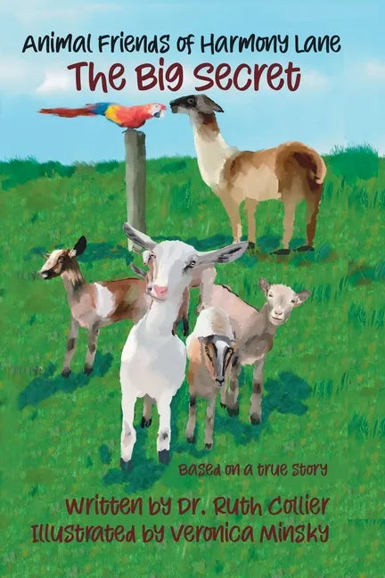 The Big Secret - Paperback