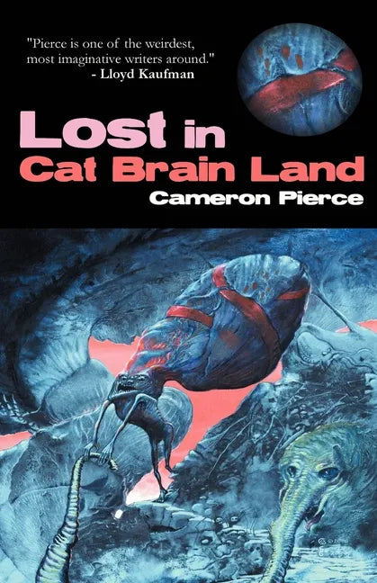 Lost in Cat Brain Land - Paperback