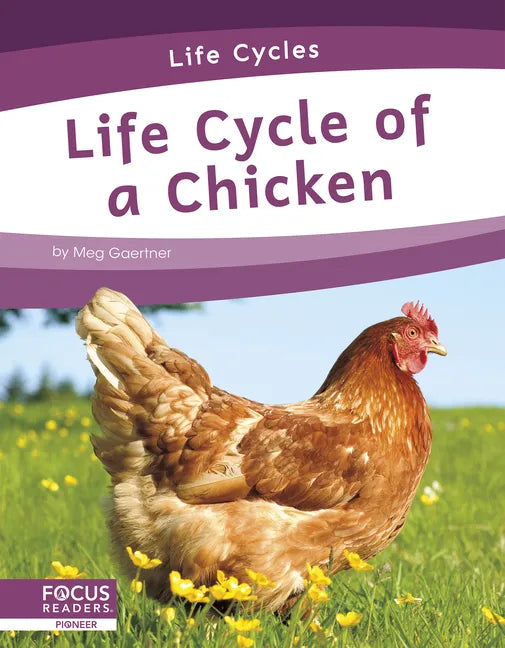 Life Cycle of a Chicken - Paperback