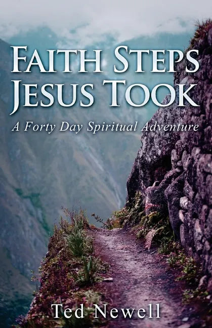 Faith Steps Jesus Took: A Forty Day Spiritual Adventure - Paperback