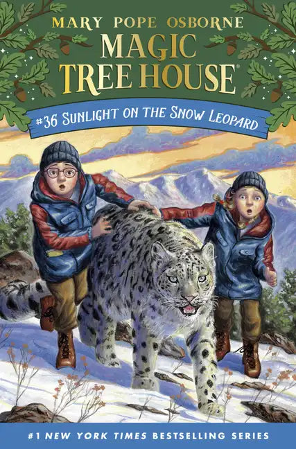 Sunlight on the Snow Leopard - Paperback