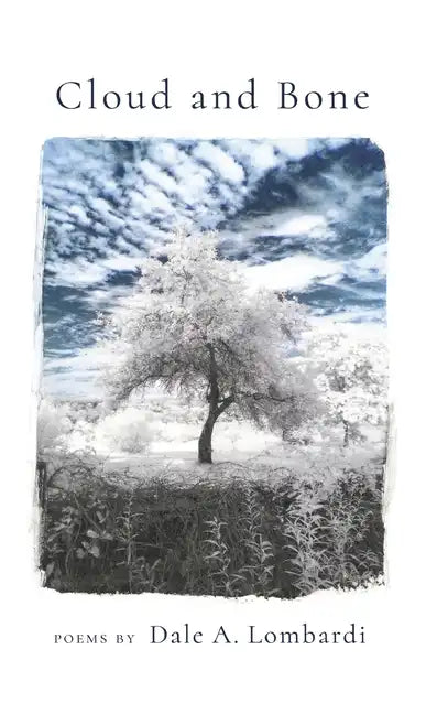 Cloud and Bone - Hardcover