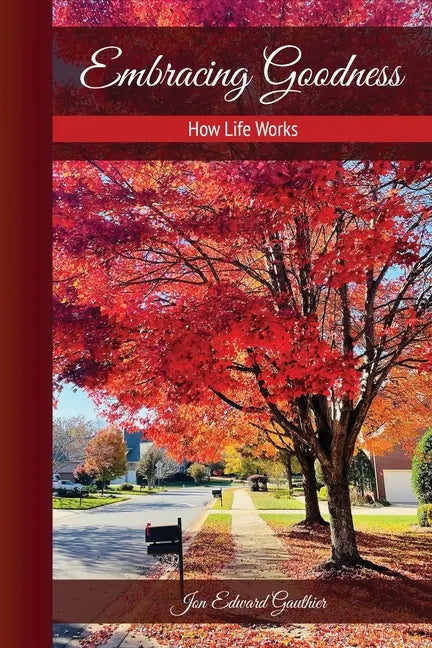 Embracing Goodness: How Life Works - Paperback