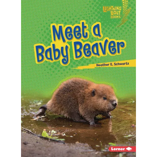 Meet a Baby Beaver - Paperback