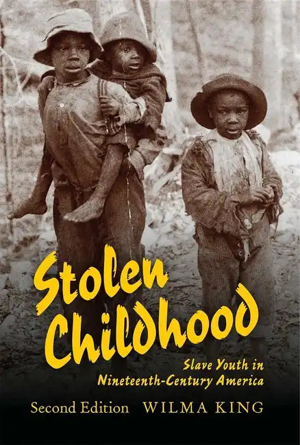 Stolen Childhood: Slave Youth in Nineteenth-Century America - Paperback