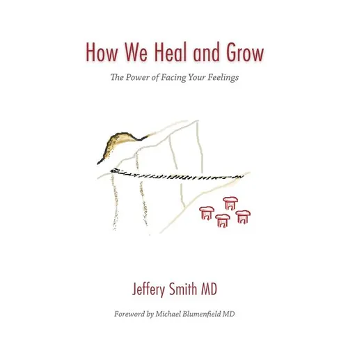 How We Heal and Grow: The Power of Facing Your Feelings - Paperback