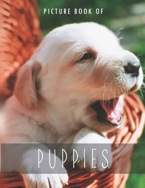 Picture Book of Puppies: for Alzheimer's Patients and Seniors with Dementia. - Paperback