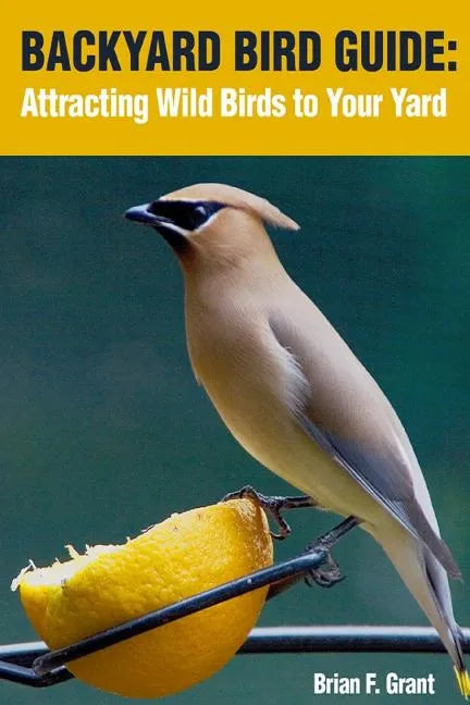 Backyard Bird Guide: Attracting Wild Birds to Your Yard - Paperback