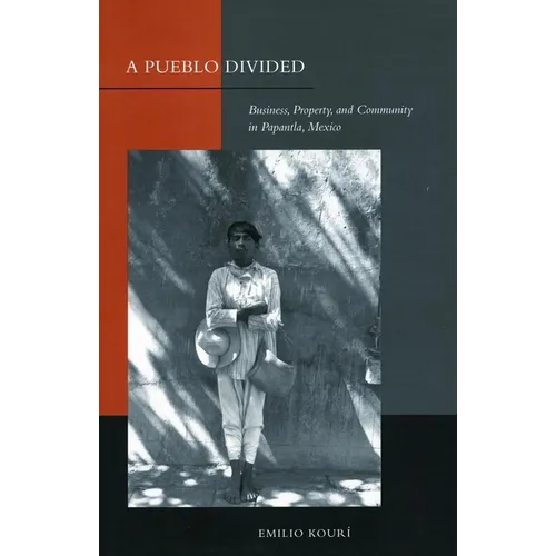 A Pueblo Divided: Business, Property, and Community in Papantla, Mexico - Paperback