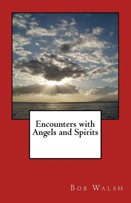 Encounters with Angels and Spirits - Paperback