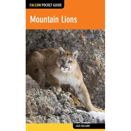 Mountain Lions - Paperback