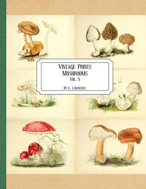 Vintage Prints: Mushrooms: Vol. 5 - Paperback