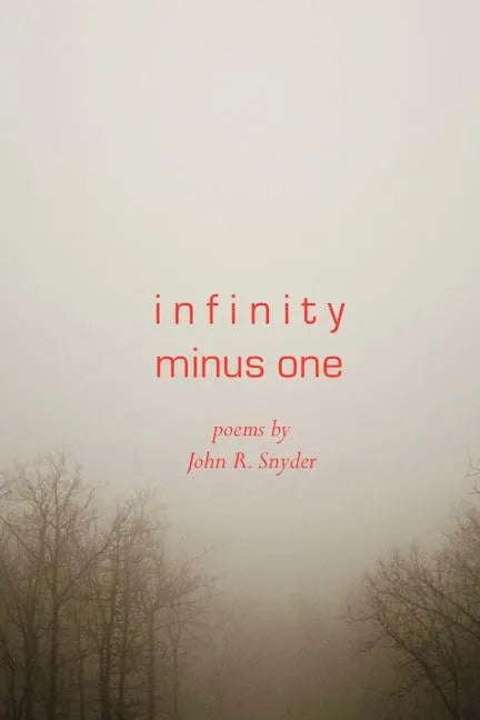 Infinity Minus One - Paperback